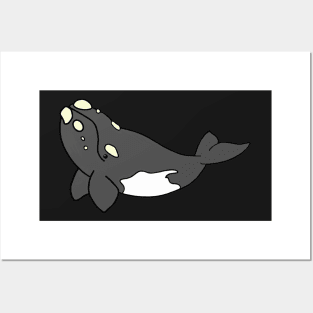 Cartoon Southern Right Whale Posters and Art